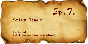 Sziva Timur névjegykártya